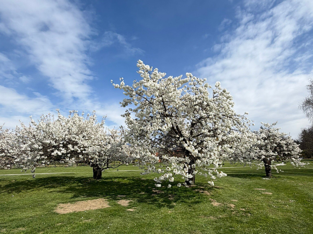 Arboretum Volčji Potok-Radomlje必去景点