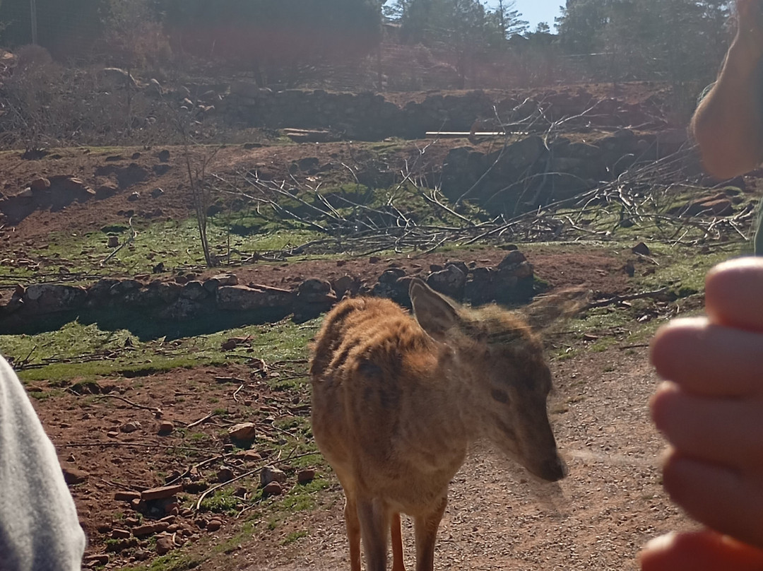 Parque de Fauna La Maleza-Tramacastilla必去景点
