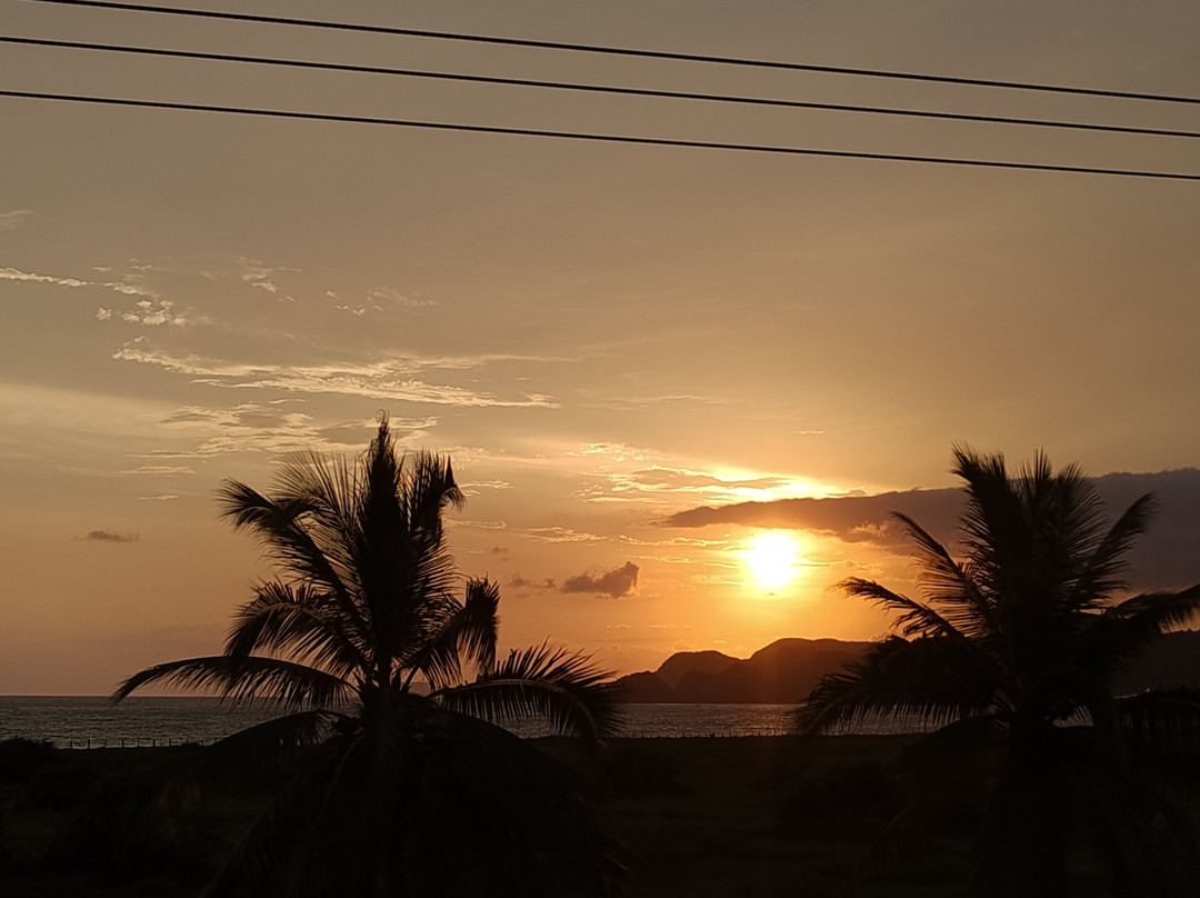 米希弗斯民宿主图