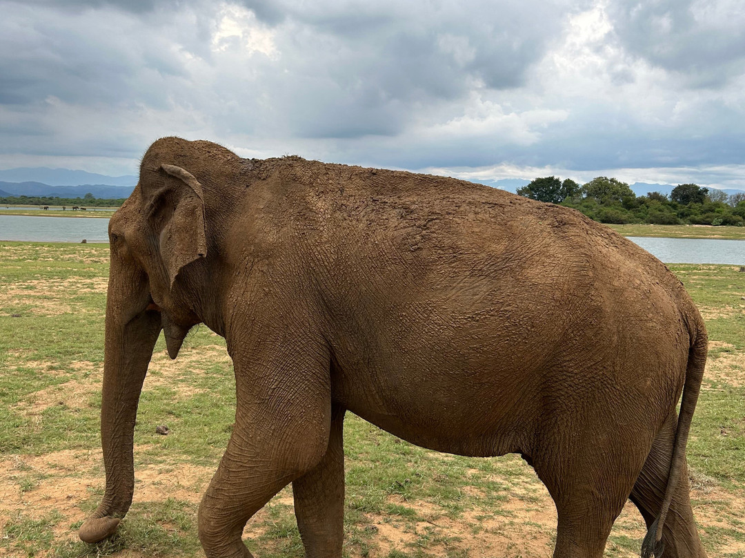 Aloka Sanna Travel Agency-Aluthgama必去景点