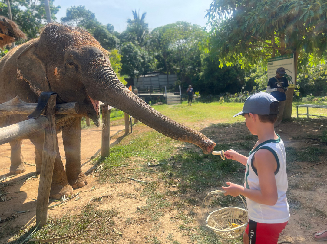 Lanta Island Elephant Lover-Khlong Hin必去景点