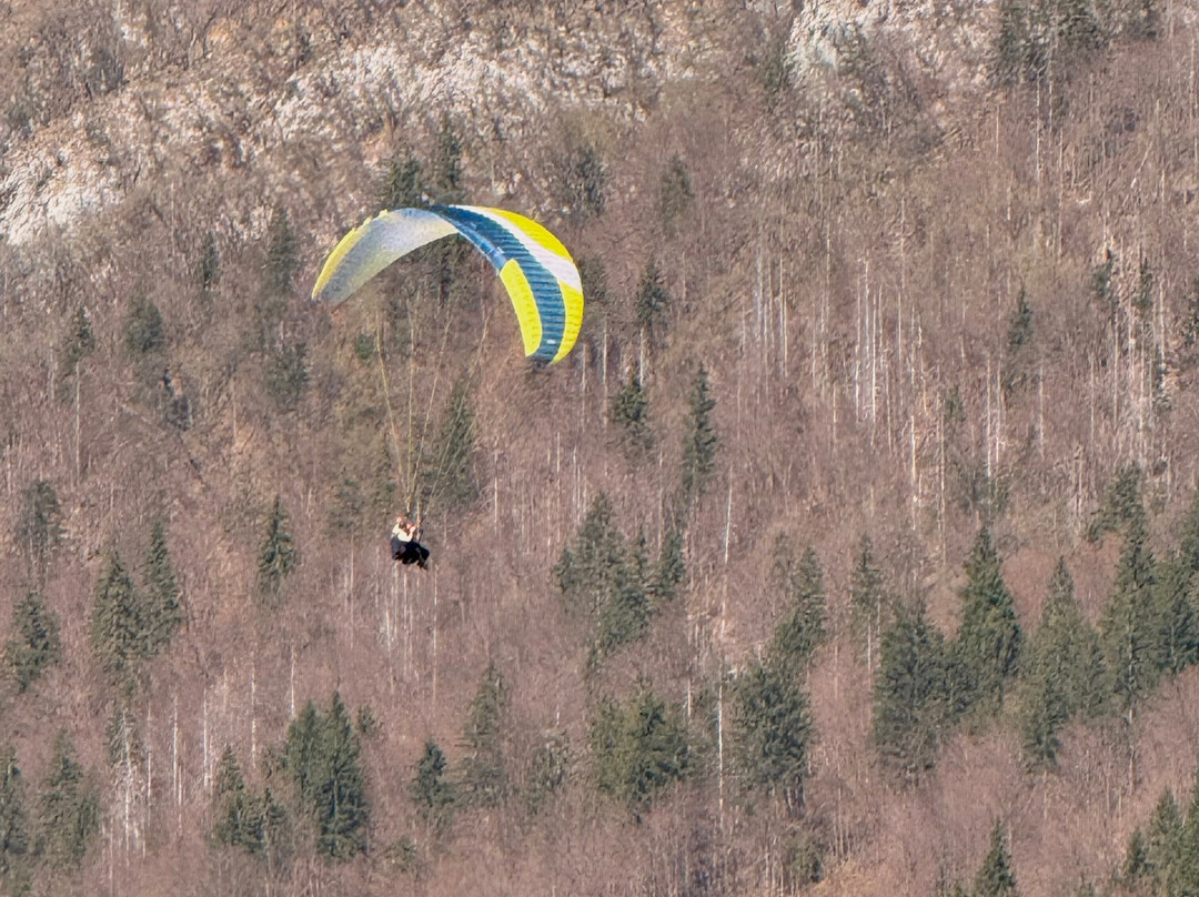Loop Team Tandem Paragliding Bohinj-博希尼湖必去景点