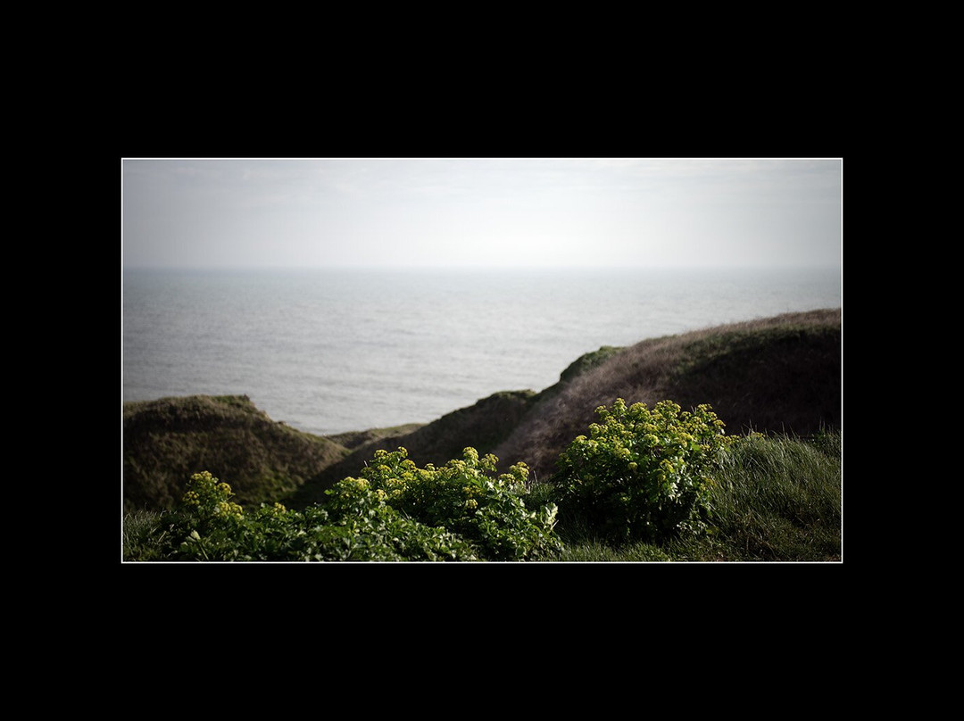FLamborough Outer Headland-Flamborough必去景点