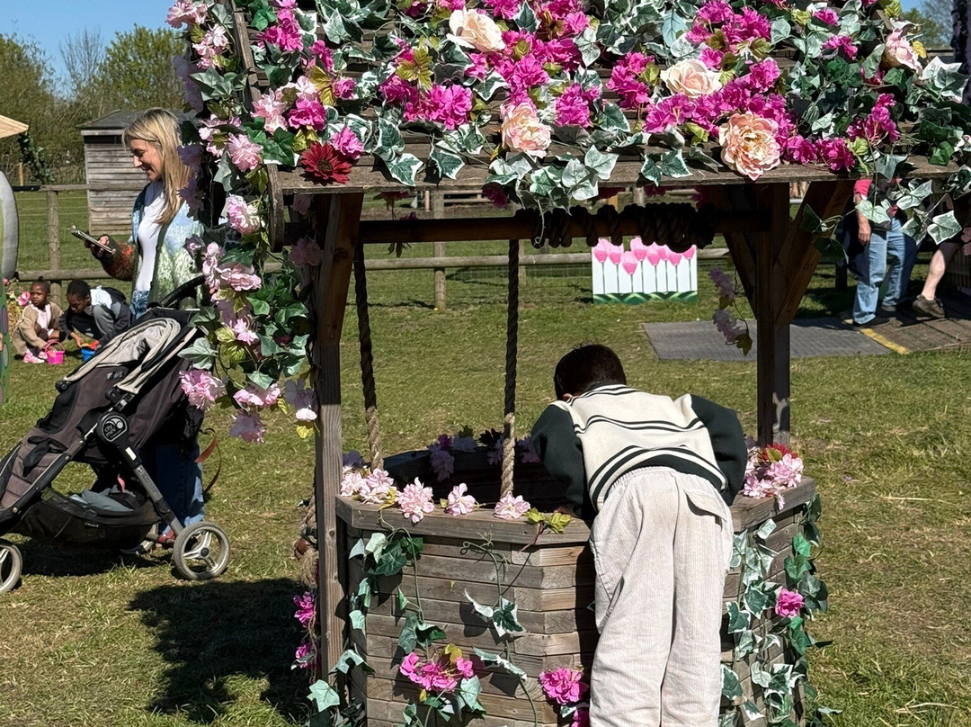 Willows Activity Farm-London Colney必去景点