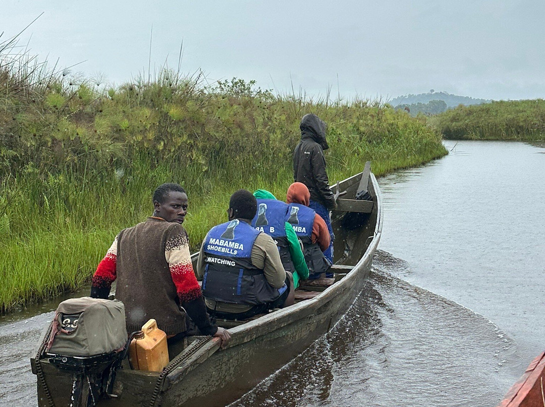 Lake Victoria | Chimpanzee island tours-恩德培必去景点