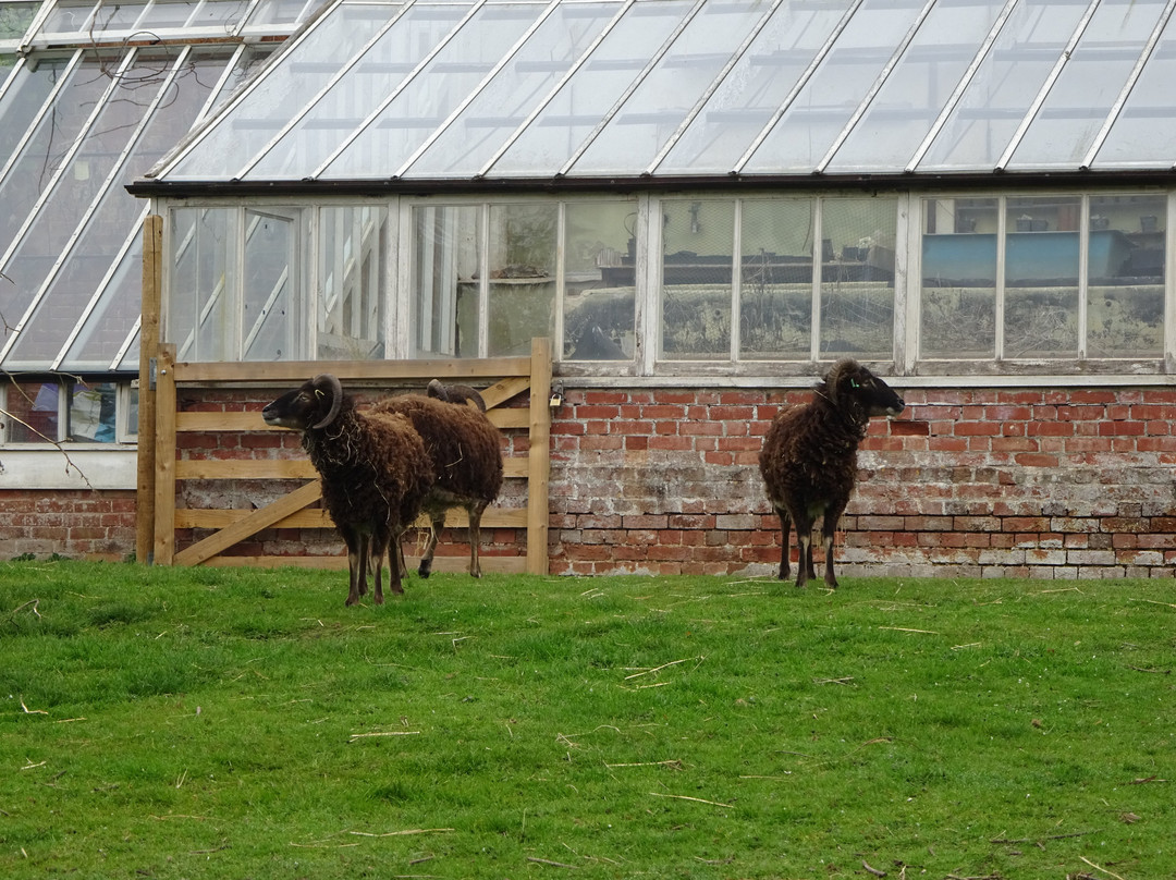 Wildwood Devon-Ottery St. Mary必去景点
