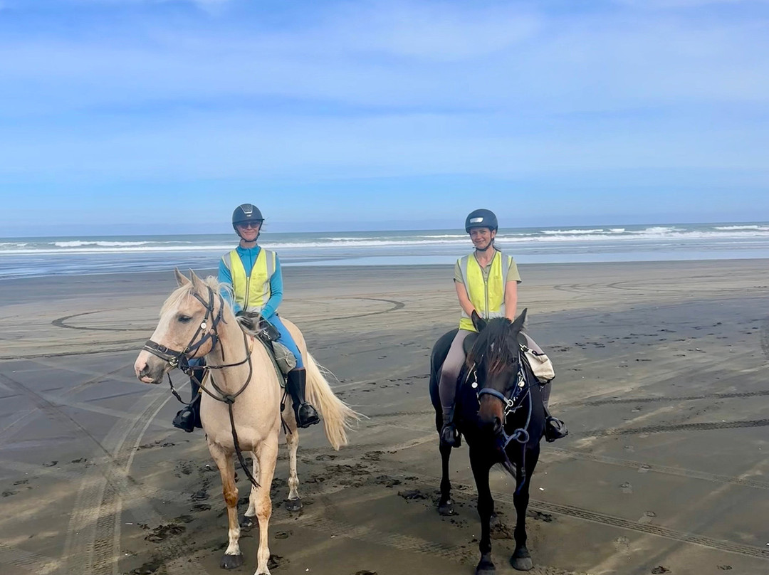 Muriwai Beach Horse Treks-穆里怀海滩必去景点