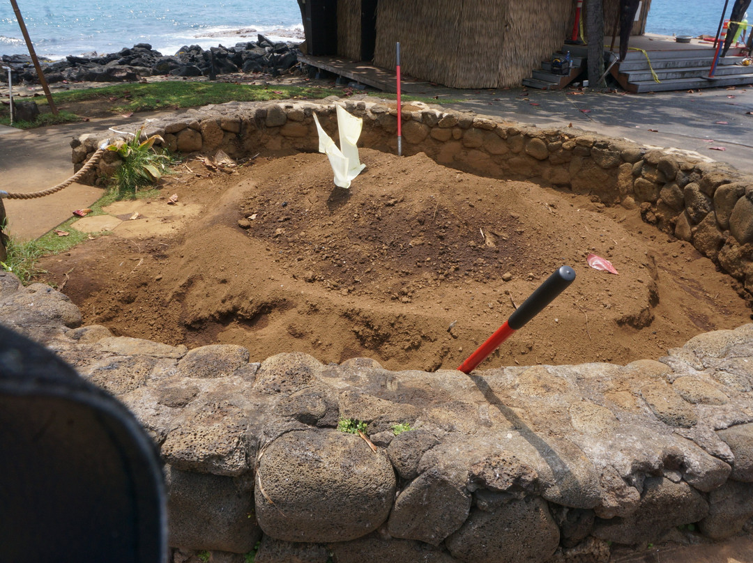 皇家科纳度假酒店主图