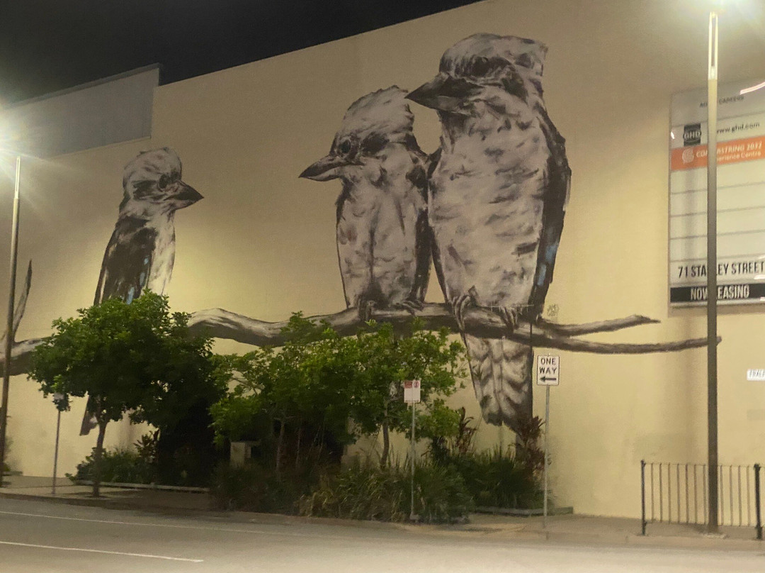 Street Art CBD Walking Trails-汤斯维尔必去景点