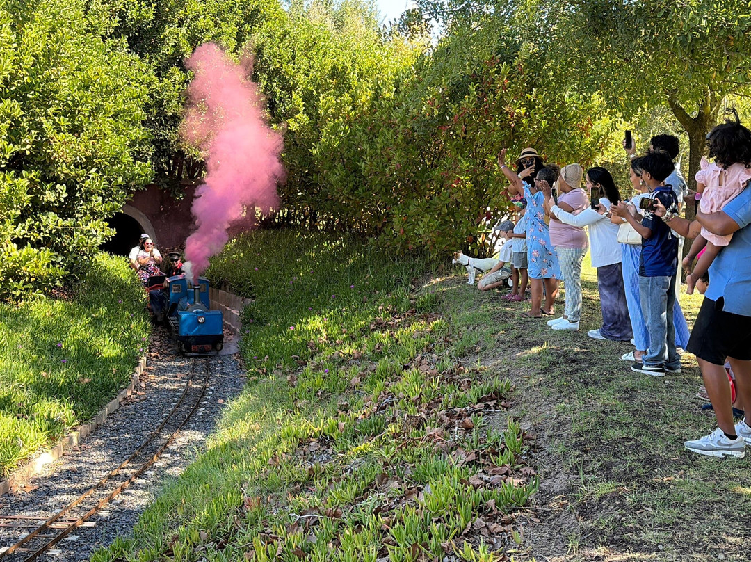 Winelands Light Railway-斯泰伦博斯必去景点