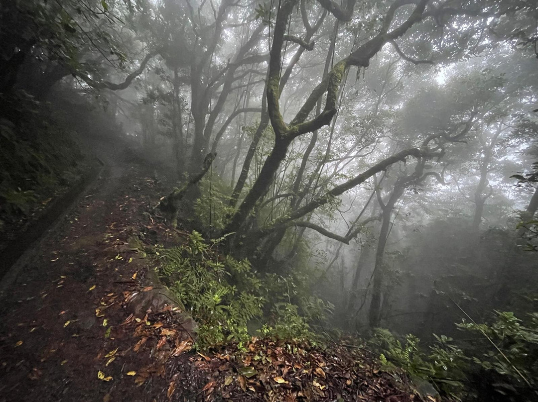 Levada dos Cedros-莫尼什港必去景点