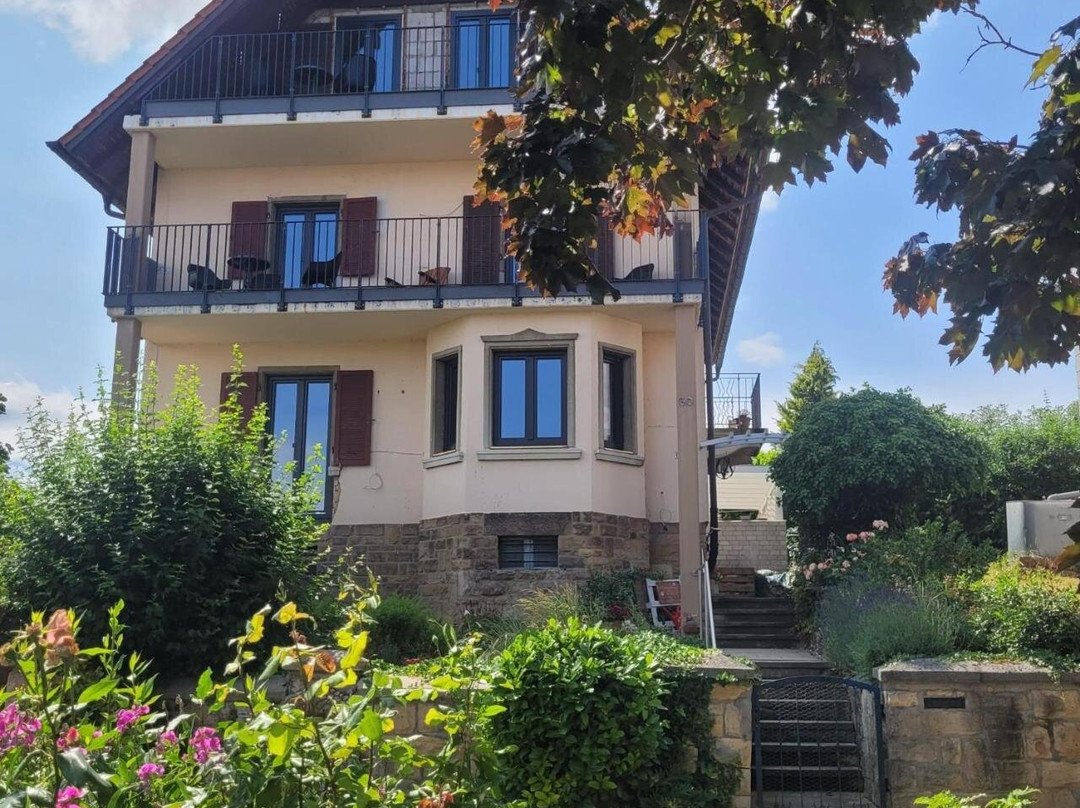 VineSinn