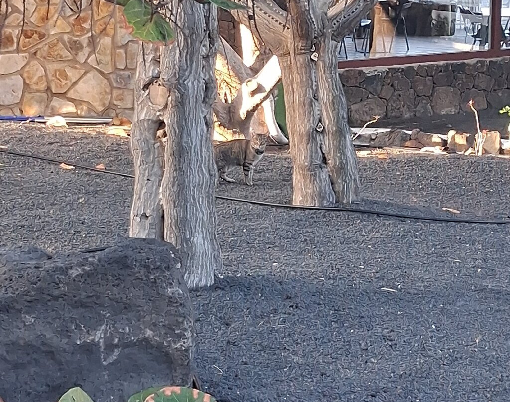 Bluesea Alyssa Suite Hotel主图