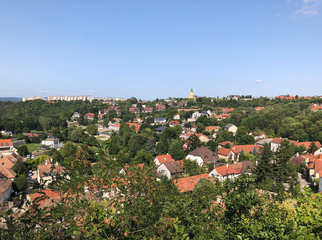 Castle Hill (Veszpremi Varhegy)-维斯普雷姆必去景点