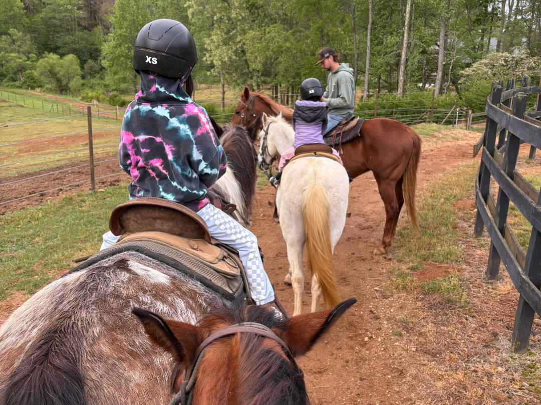 Appalachian Trail Rides-Mineral Bluff必去景点