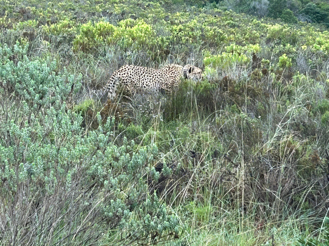 波特利斯科普私人猎区酒店主图