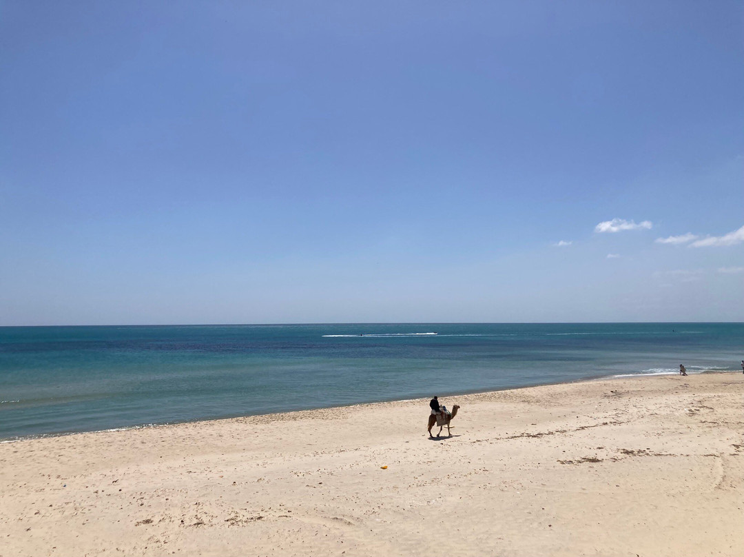 Hammamet Beach主图