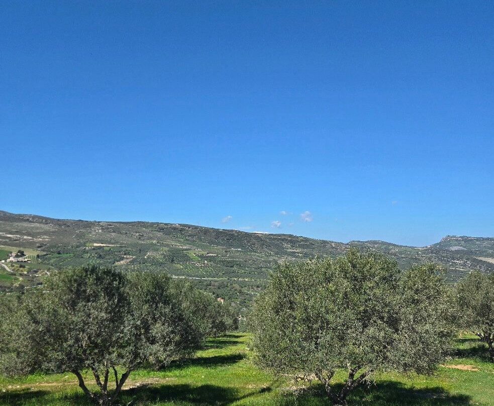 Lyrarakis Winery-伊拉克利翁必去景点
