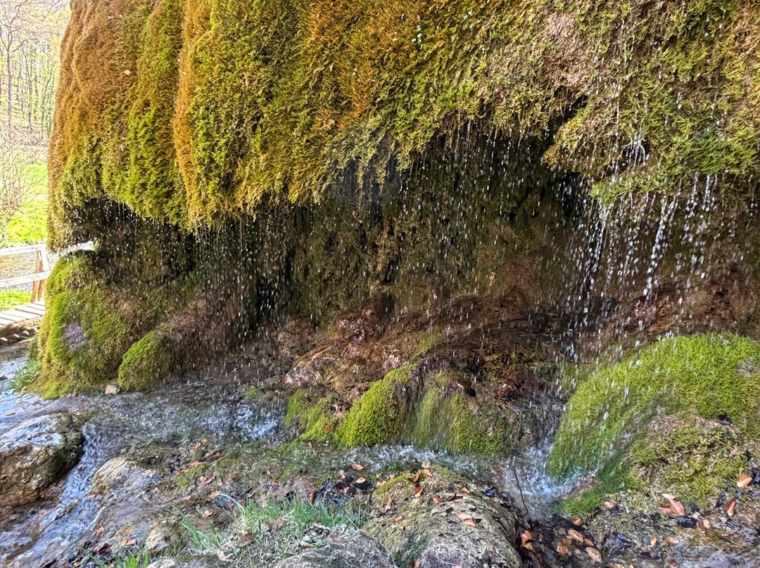 Wasserfall Dreimühlen-Uxheim必去景点