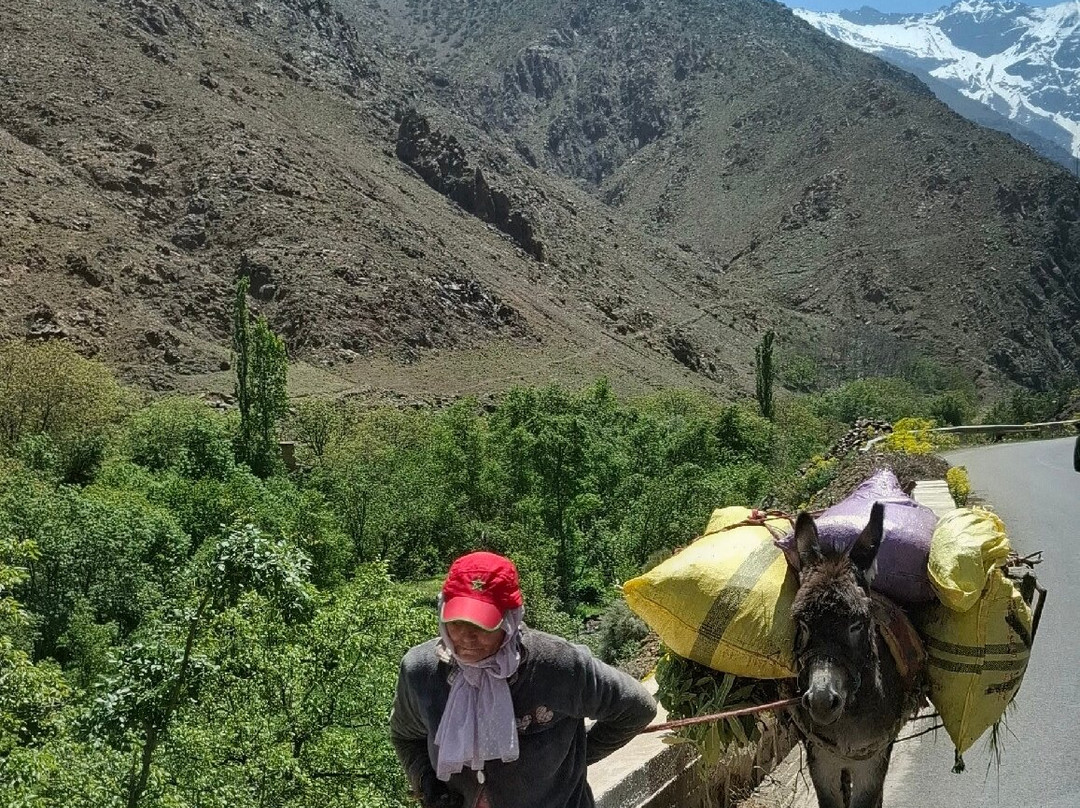 Marrakech Outdoor Trips-马拉喀什必去景点