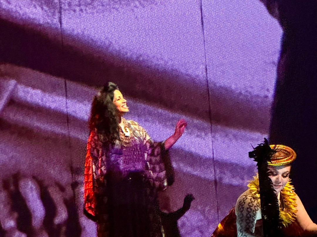 Cirque du Soleil 'Auana-火奴鲁鲁必去景点
