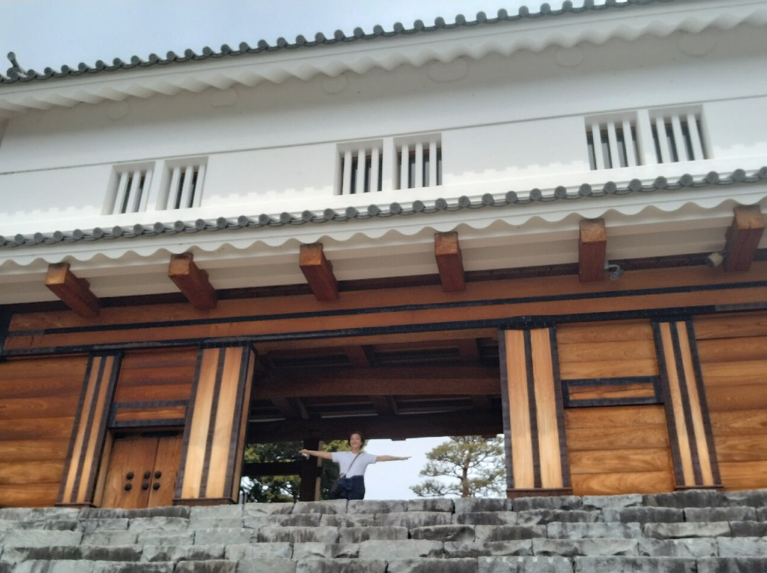 Kofu Castle-甲府市必去景点