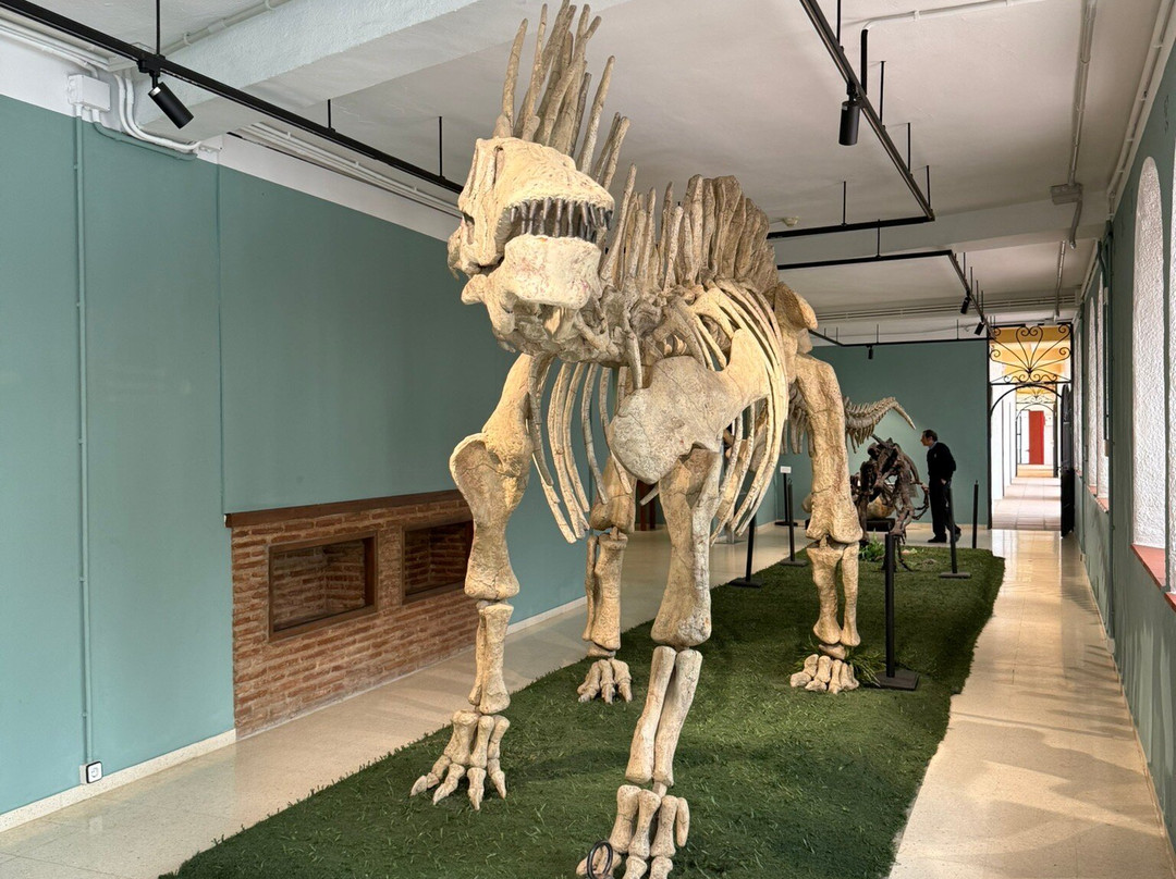 Palaeontology Museum of Estepona-埃斯特波纳必去景点