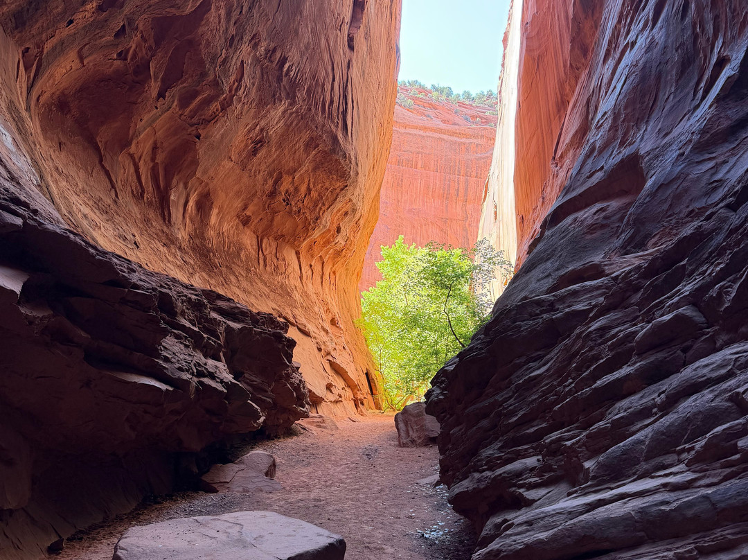 Utah Slickrock Guides-Boulder必去景点