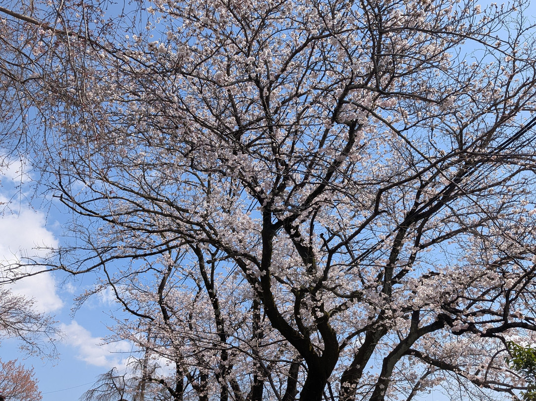 Hoju-in Temple-松田町必去景点