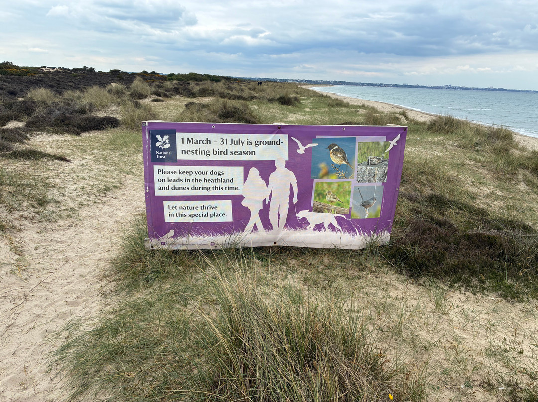 Studland beach and Nature Reserve-Studland必去景点