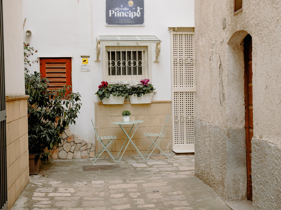 Il Piccolo Principe Home