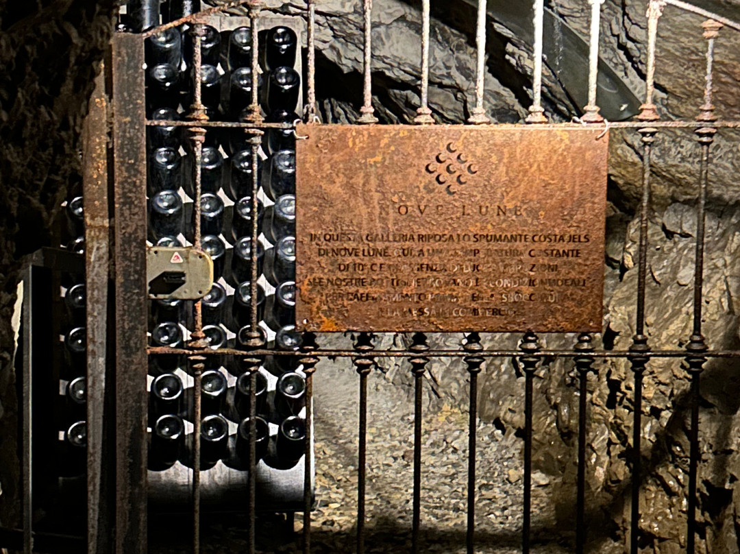 Ecomuseo Miniere Di Gorno-Gorno必去景点