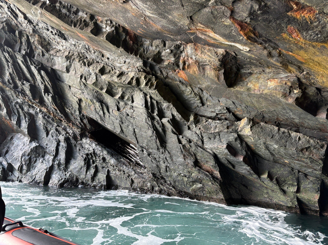 A Bay To Remember Wildlife Boat Trips-St. Dogmaels必去景点