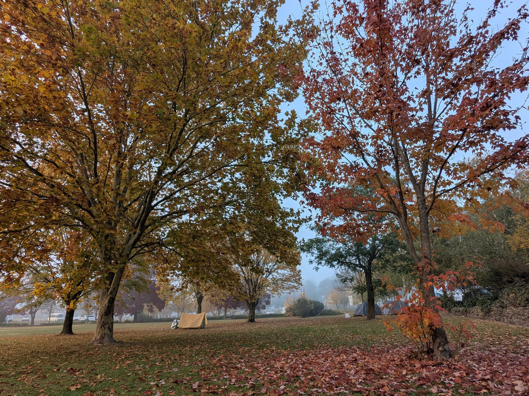 Lake Wallace-Wallerawang必去景点