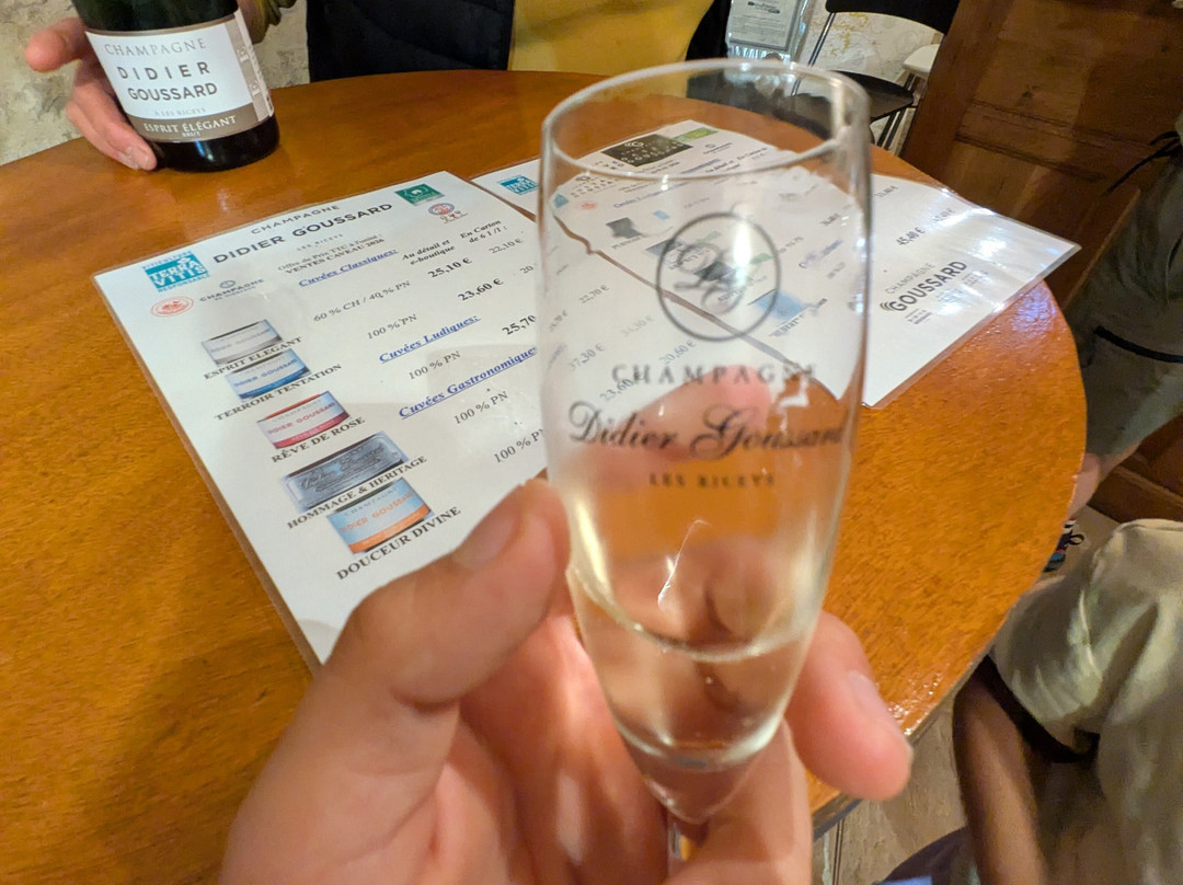 Champagne Didier Goussard-Les Riceys必去景点