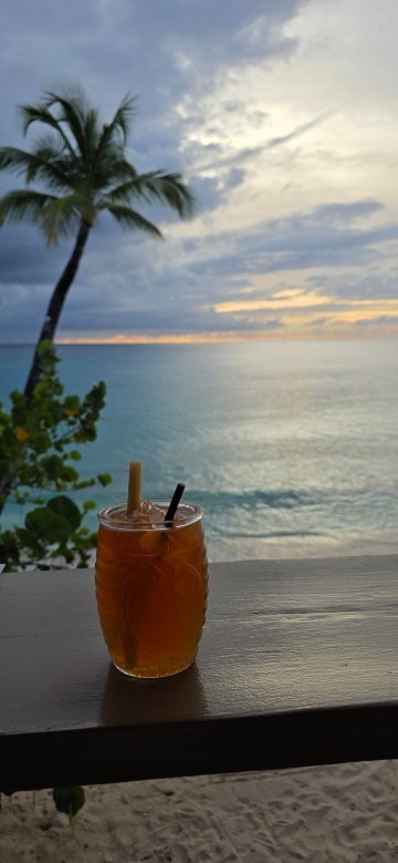 Crystal Cove by Elegant Hotels - All-Inclusive-旅行者