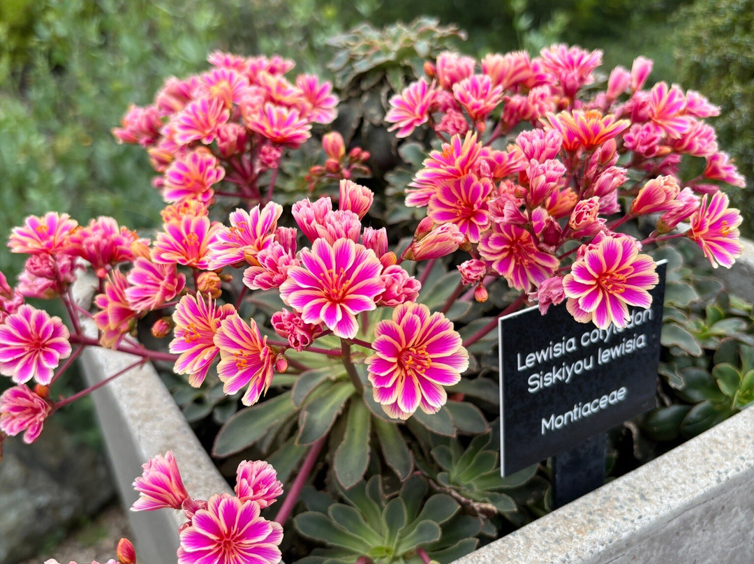 Humboldt Botanical Garden-尤里卡必去景点