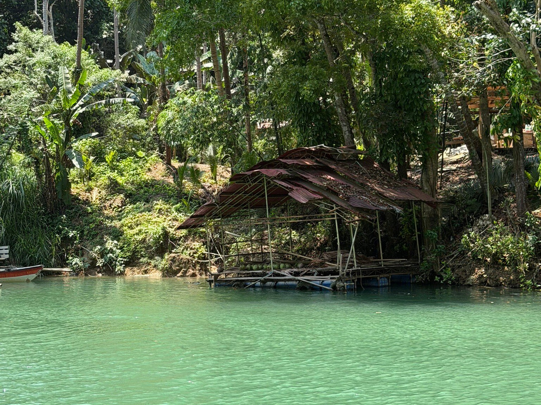 Loboc River Cruise-洛博克必去景点
