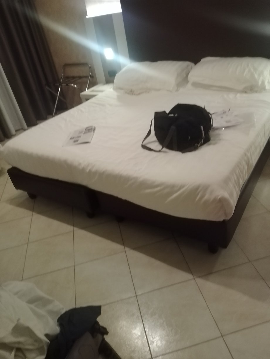罗卡贝斯特韦斯特酒店-旅行者