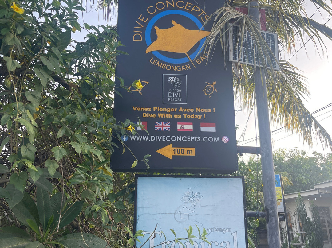 Dive Concepts Lembongan-蓝梦岛必去景点