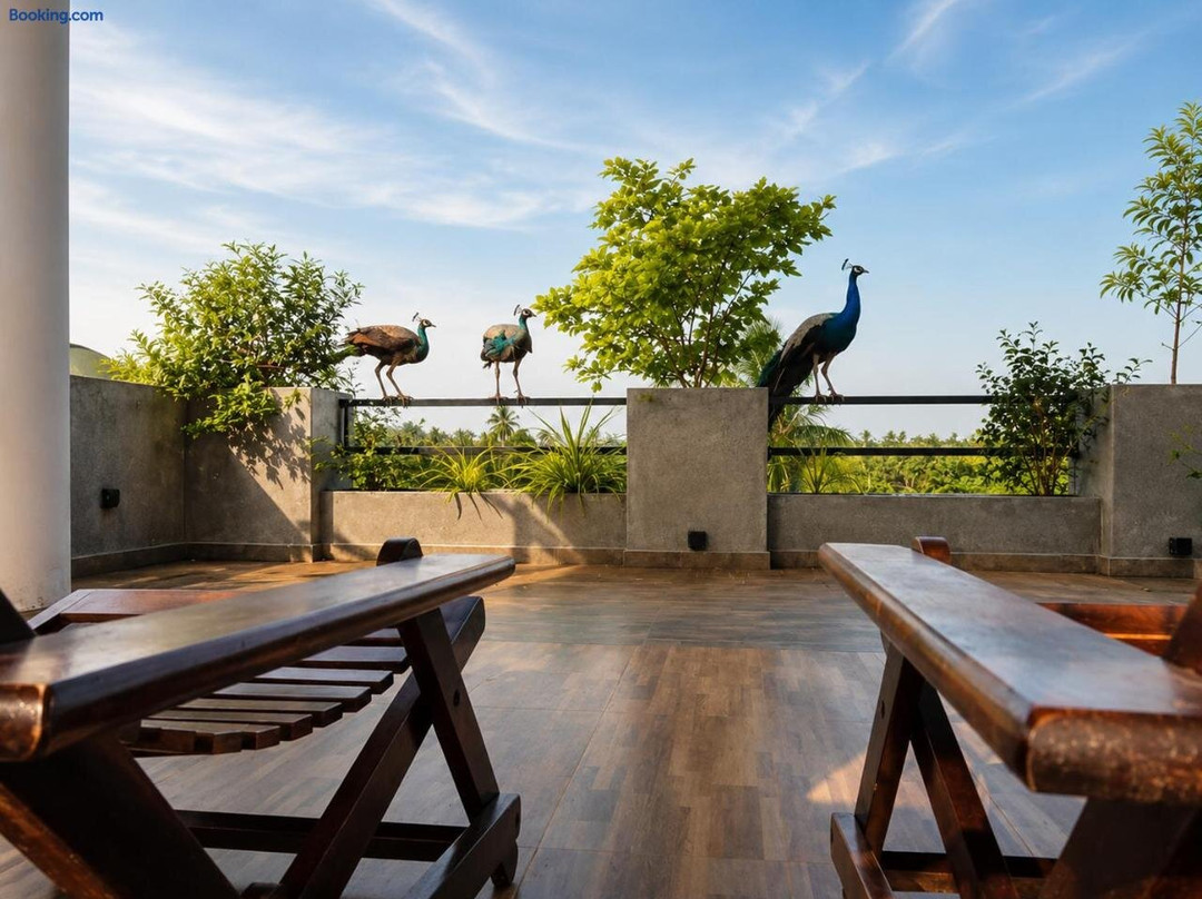 Sunrise Eco Resort