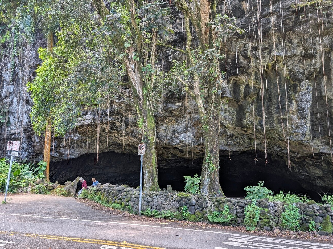 Maniniholo Dry Cave-可爱岛必去景点