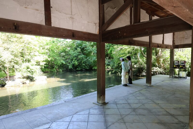 Kehi Shrine-敦贺市必去景点