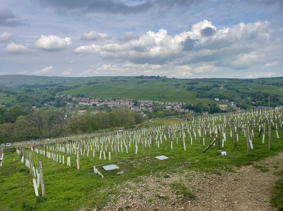Holmfirth Vineyard-Holmfirth必去景点