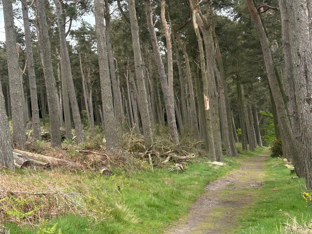 St Cuthbert's Cave-Belford必去景点