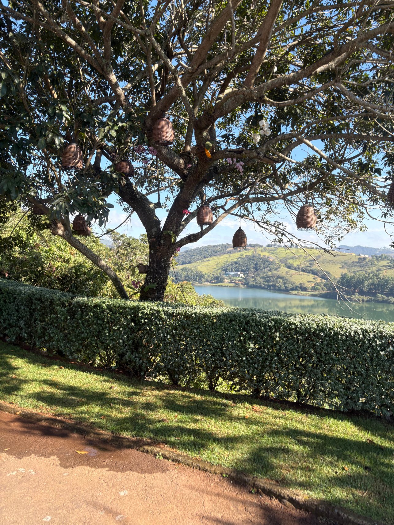 眺望湖景酒店-旅行者
