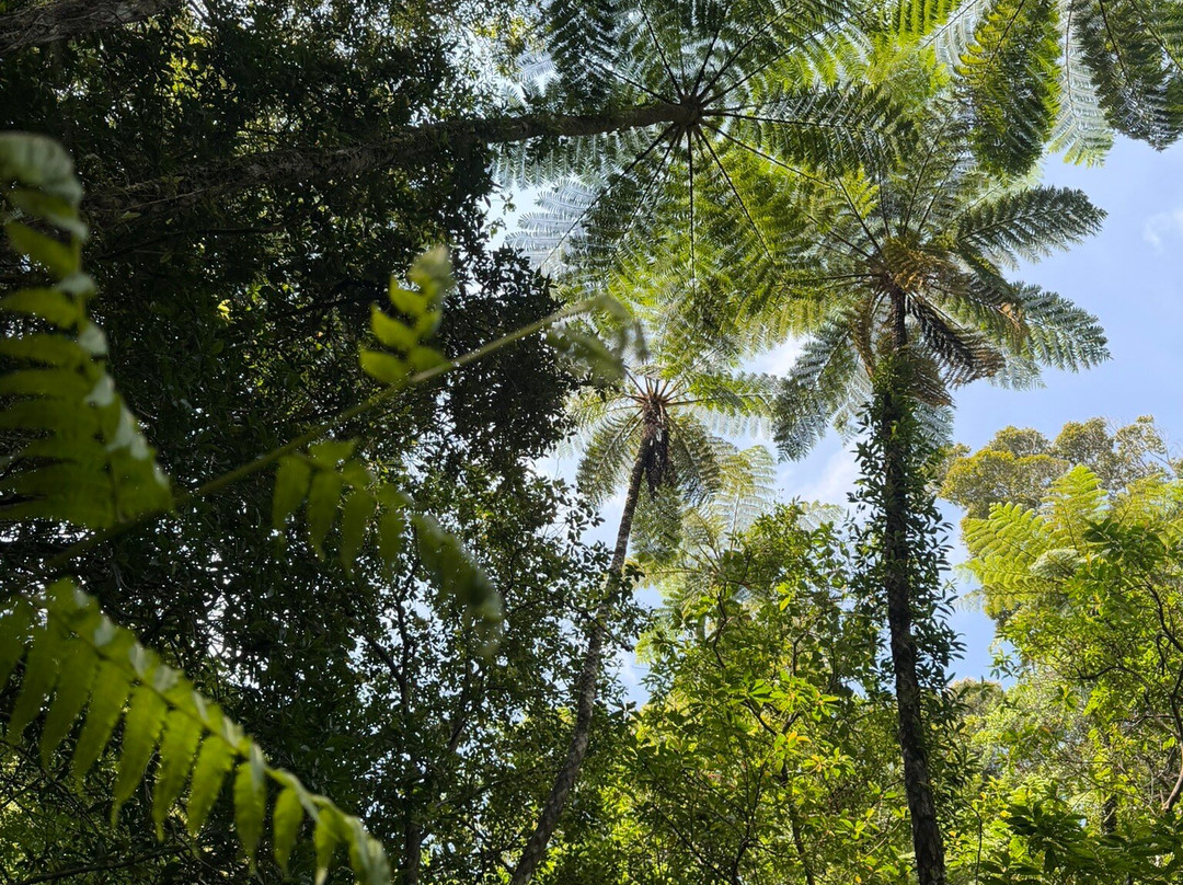 Amamigunto National Park-奄美市必去景点