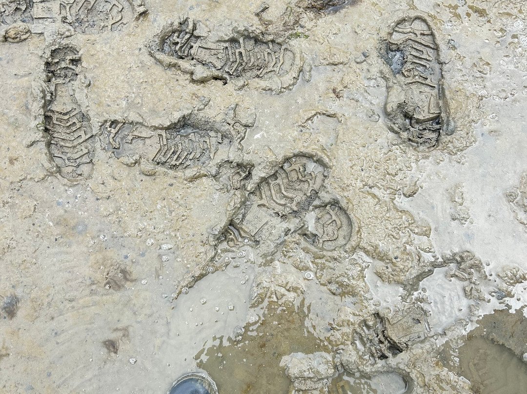 Puur Terschelling-Terschelling必去景点
