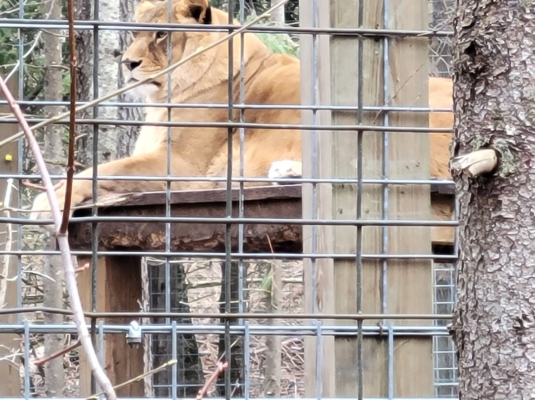GarLyn Zoo Wildlife Park-Naubinway必去景点