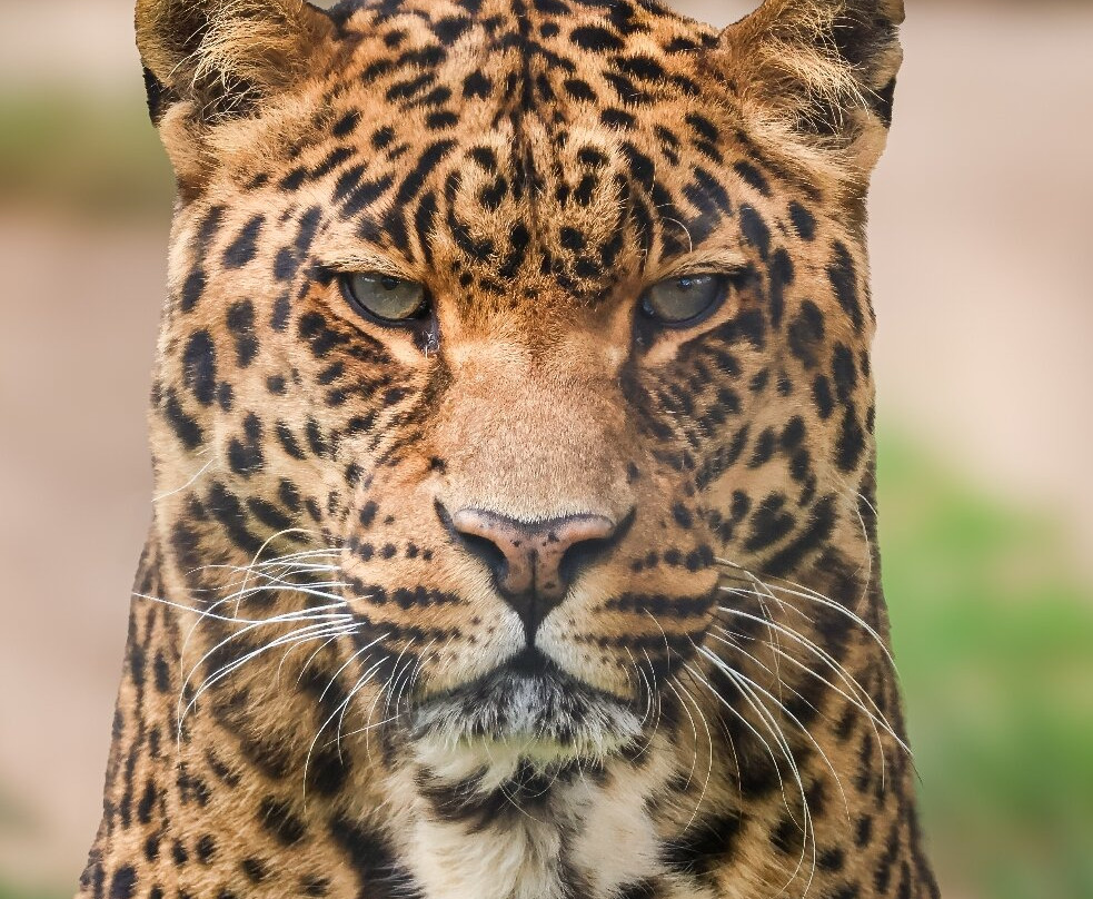 Wolds Wildlife Park-Horncastle必去景点